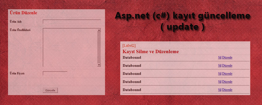 Asp.Net (c#) basit kayıt güncelleme (update)